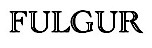 FULGUR (Wien)